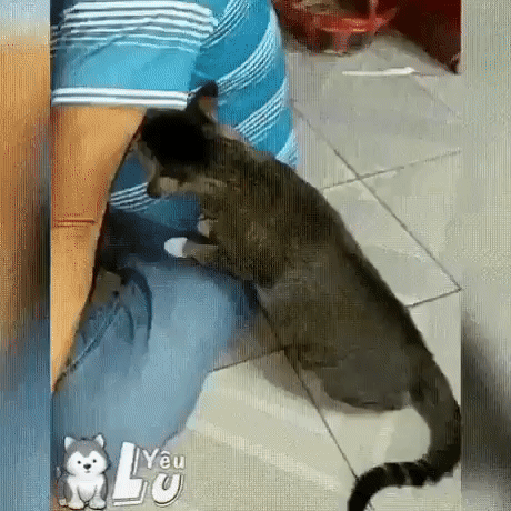 ezgif-4-25a805fb2b5b