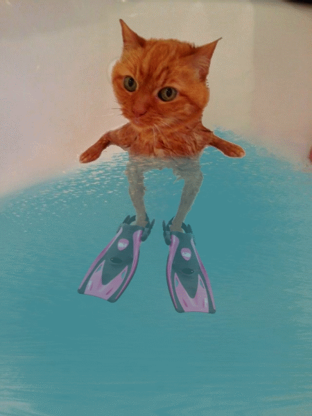 аква