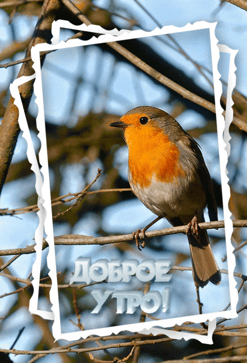 ezgif-2-3822ba4c79ea (1)