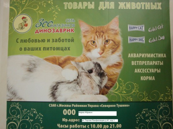 зоомагазин Динозаврик