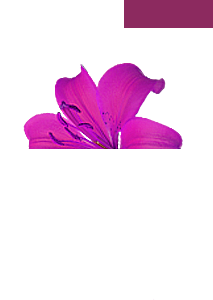 01windows-8-1-logo[1]