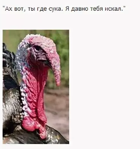 asd32123213