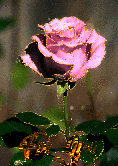 ezgif-2-62493e9ab323