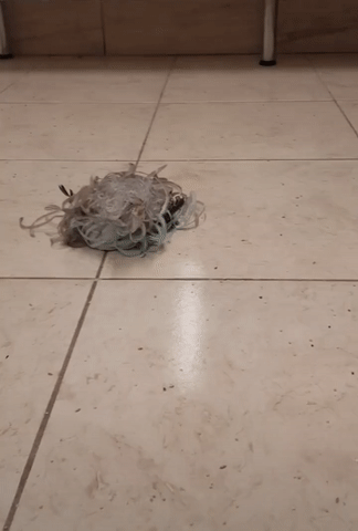 ezgif.com-video-to-gif (9)