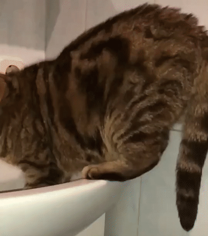 ezgif.com-video-to-gif (11)