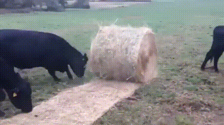 1ea613cbb24f39acc884b05f80595442_226073_1557005142