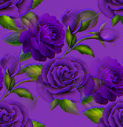 1_arnusha