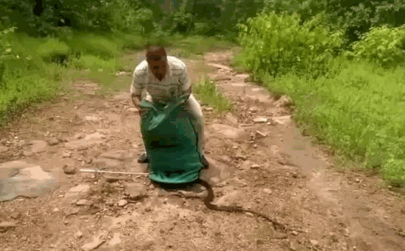 гифка