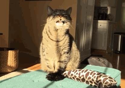 1425886960_407154668 (1)