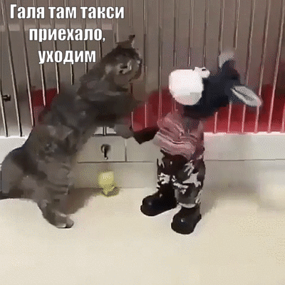 Когда баба пьяная