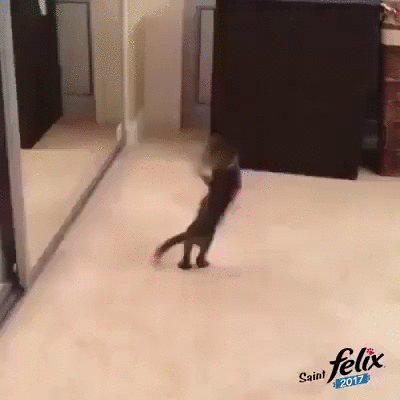 - Эй, Ты! Выходи драться!