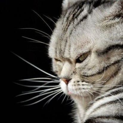 post-3-13014067046480