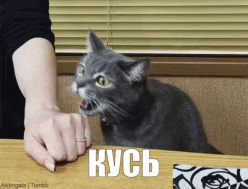 111