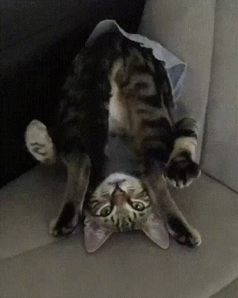 ждите чуда чудите сами!