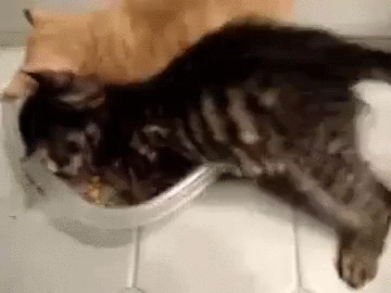 проходил в нормальной, дружеской обстановке...