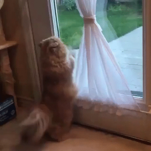 безобразничать