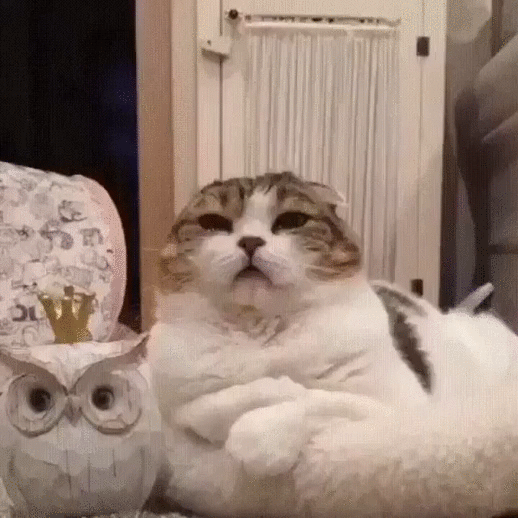 ,просто царь