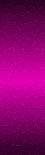 62298036_1280862465_e629f31af6a0
