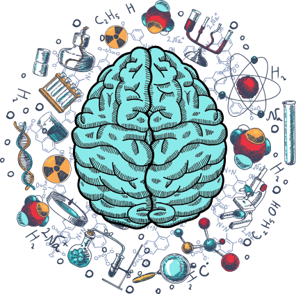 brain