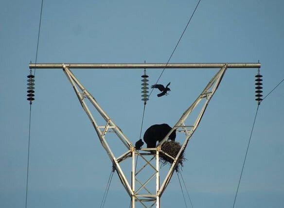 4C54DBCA-CD40-43ED-9674-FA807FE73BB1