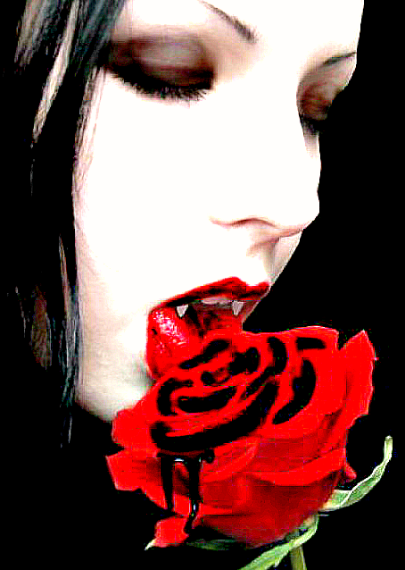 4e5f9d670e492_wampir3da6_yapfiles