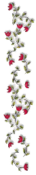 1_2
