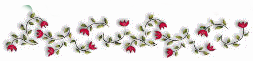 1__arnusha