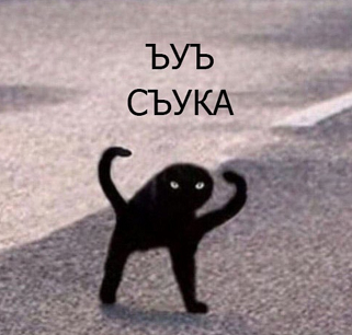 csdvdfv