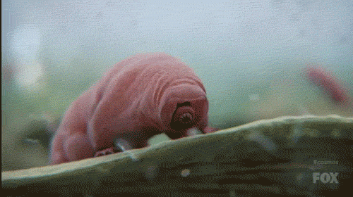 тихо