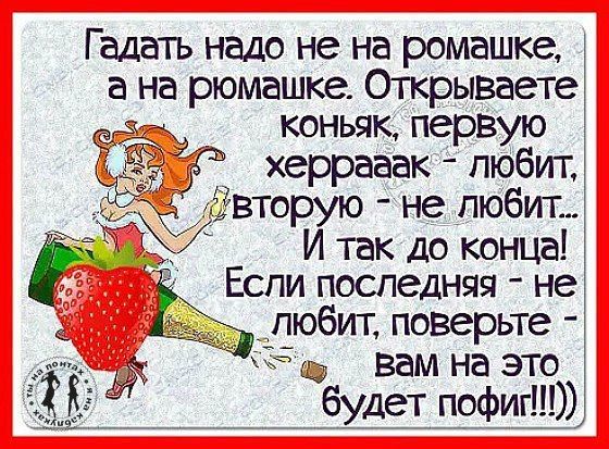 fd1373a226ab66a649b207f9be618003