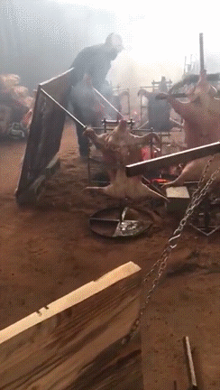 Как жарить дичь