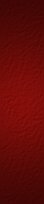 22530934_562031fb1310