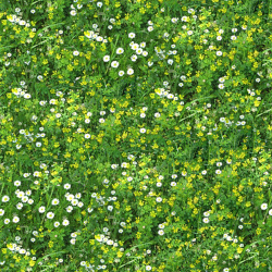 grass-texture_(53)