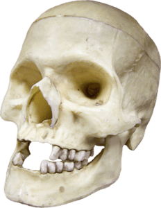 e607e2cc14037f3b768aa86e806eebd0 (1)