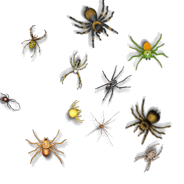 dc8cad62f03d0086ffcf7b484537d301 (1)