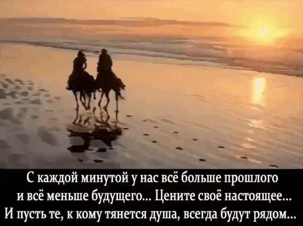 image (72)