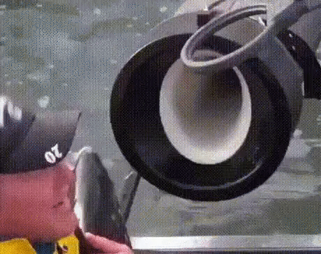Заряжай! Товсь! Огонь!