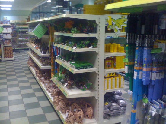 Зоомагазин Динозаврик