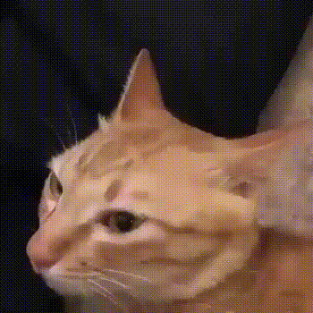 KOTE_3