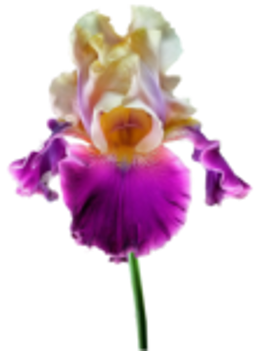 0_6f5b1_801a2f29_S