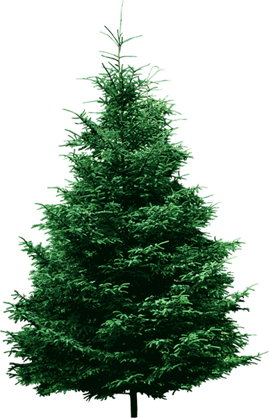 0_95311_b6d79eab_xl (1)