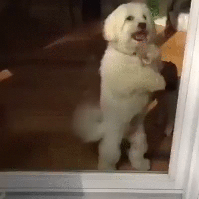 !Суббота!Танцуют все!