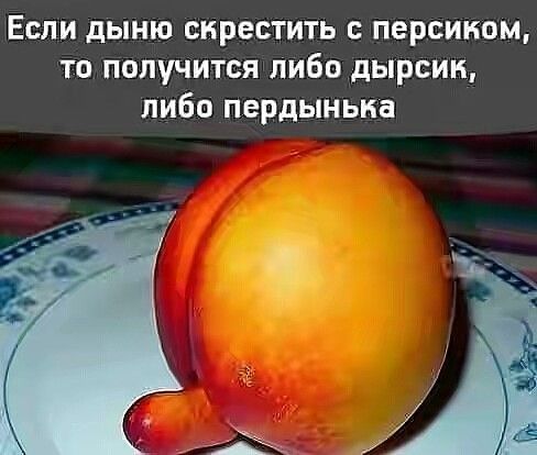 4f8f1affe11ea6dce5f5821fff64e4cb