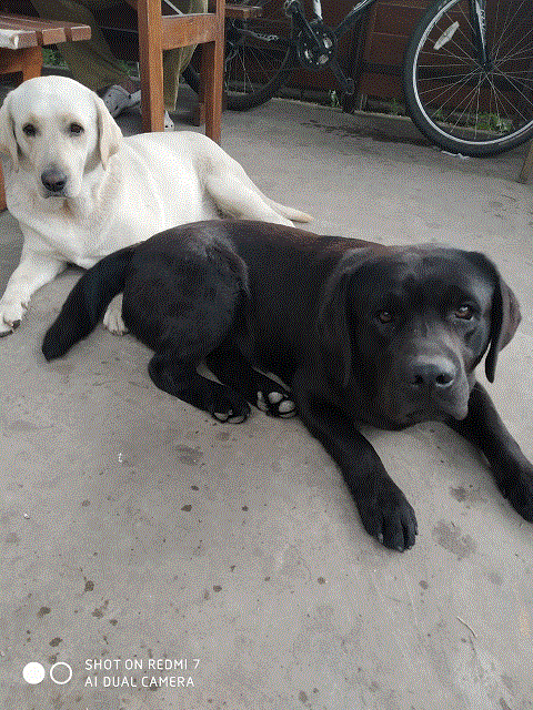 _viber_2019-08-28_01-04-27