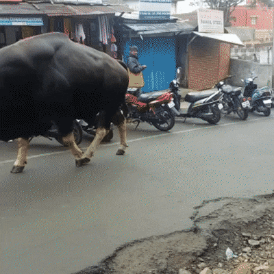 9a2193dc2482278fee882a47ca51e0a2_336188_1532603209