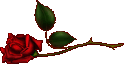 _arnusha
