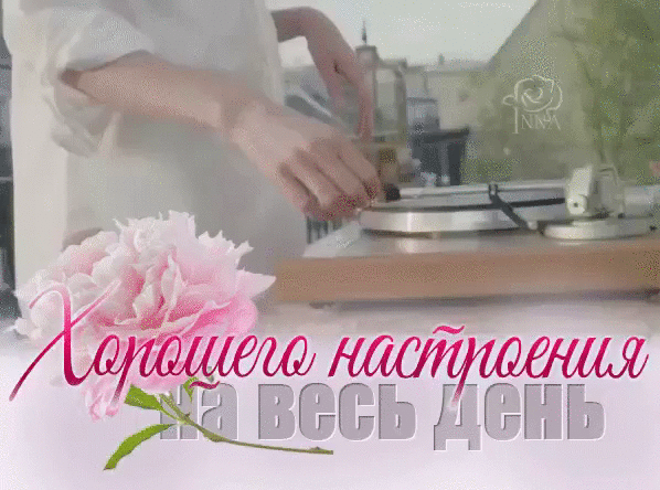 image (8)