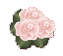 4__arnusha