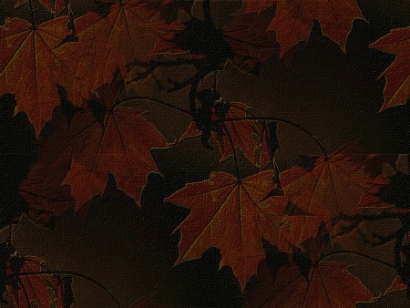 20_3