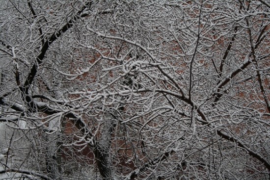 Кемерово, 4 апреля